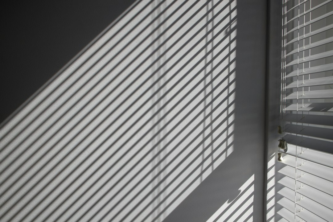 Close-up detail of Venetian blind slats